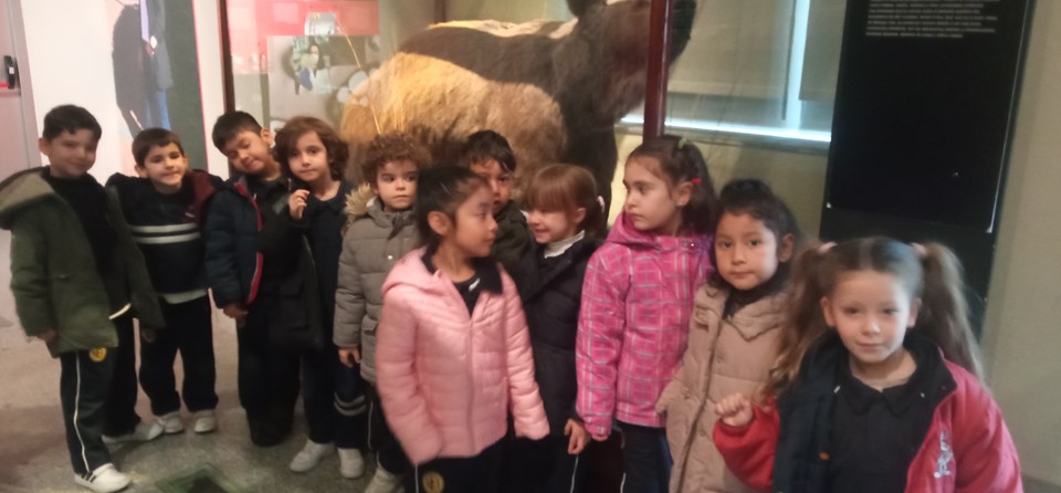 MUSEO DE CIENCIAS NATURALES (INFANTIL 5 AÑOS)