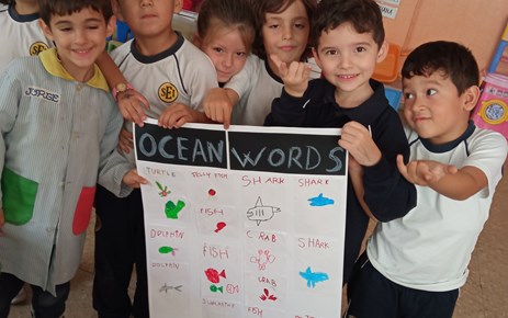 "DECORAMOS NUESTRA AULA" (INFANTIL 5 AÑOS)