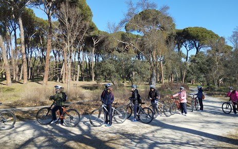 "BICICLETA-CASA DE CAMPO" (6º PRIMARIA)