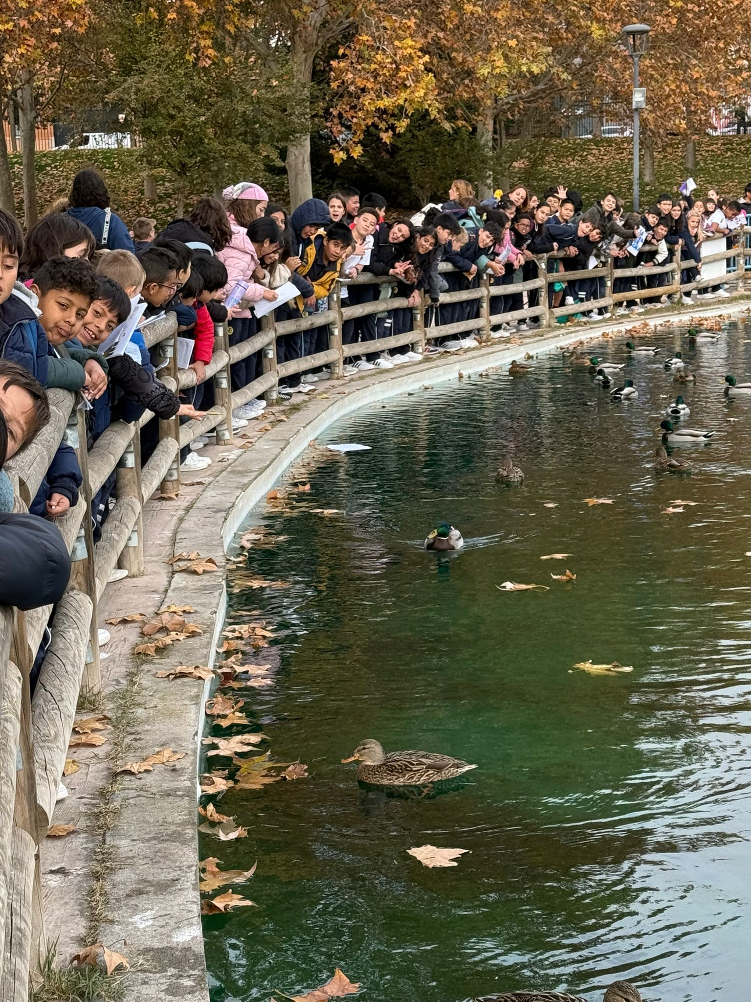 "PARQUE EUROPA" (3º Y 6º PRIMARIA)