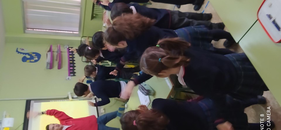 EMOCIONES (1º PRIM - FUNDACIÓN MAPFRE)