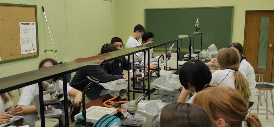 "PRÁCTICAS DE LABORATORIO" (3º ESO) (1)