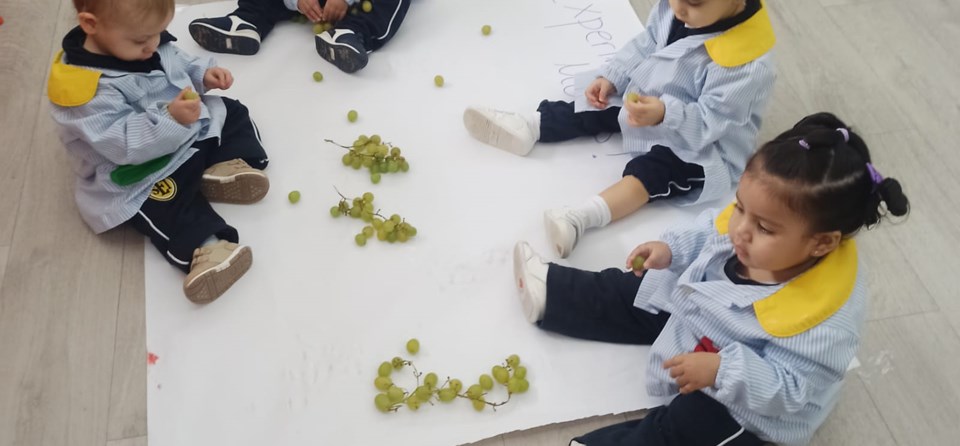 PRIMER CICLO INFANTIL (SEMANA DEL 14 AL 18 DE OCTUBRE)