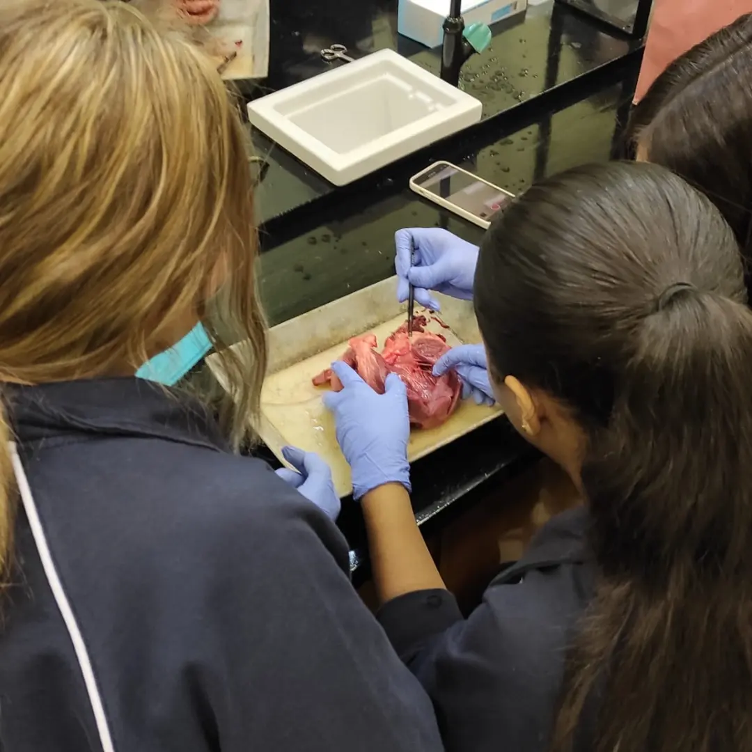"PRÁCTICAS DE LABORATORIO" (3º ESO)