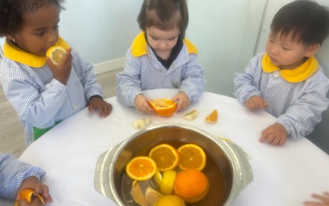 PRIMER CICLO INFANTIL (SEMANA DEL 11 AL 15 DE NOVIEMBRE)