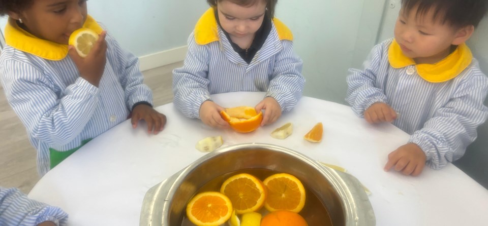 PRIMER CICLO INFANTIL (SEMANA DEL 11 AL 15 DE NOVIEMBRE)