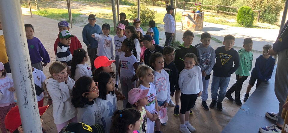 DIVERGREEN PRIMARIA (1º-2º-4º)