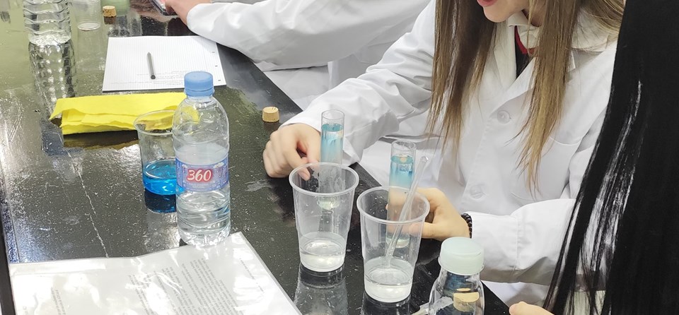 ¿ES POSIBLE VER NUESTRO ADN A SIMPLE VISTA? (4º ESO)
