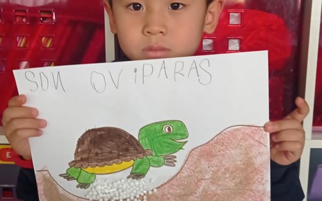 ¡TORTUGAS! (INFANTIL 5 AÑOS)