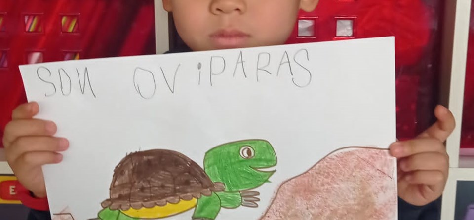 ¡TORTUGAS! (INFANTIL 5 AÑOS)