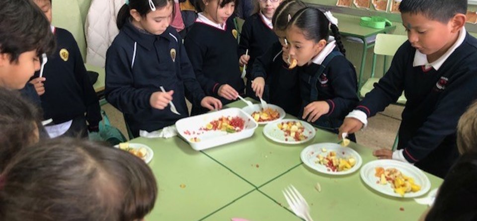 "ENSALADA DE FRUTA" (1º PRIMARIA)