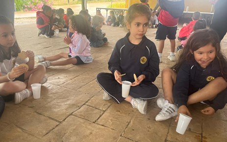 DIVERGREEN INFANTIL (10/06/2024)