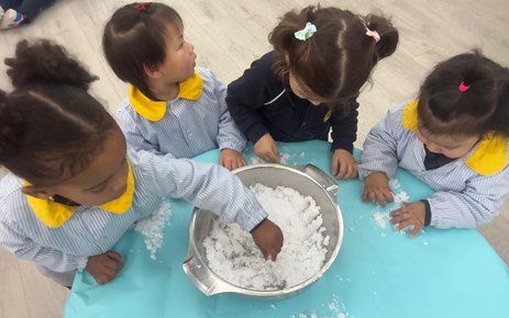 PRIMER CICLO INFANTIL (SEMANA DEL 20 AL 24 DE ENERO)