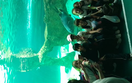 ZOO (INF-5 / 1º /2º PRIMARIA)
