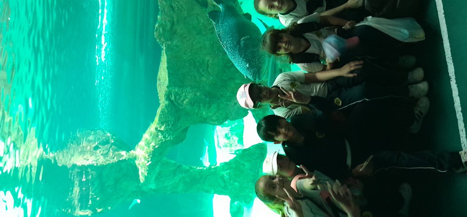 ZOO (INF-5 / 1º /2º PRIMARIA)