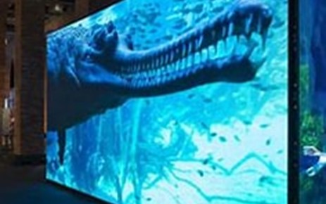 EXPOSICIÓN "SOMOS AGUA" (AULAS COMETA Y ESTRELLA)