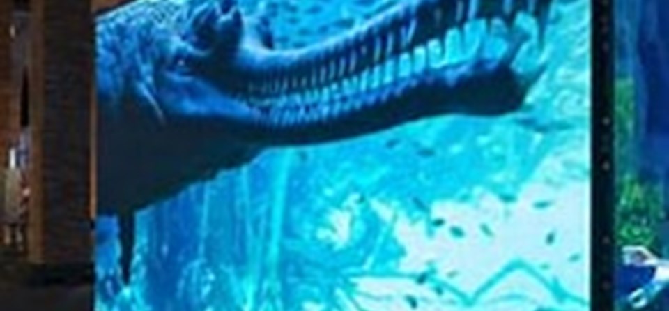 EXPOSICIÓN "SOMOS AGUA" (AULAS COMETA Y ESTRELLA)