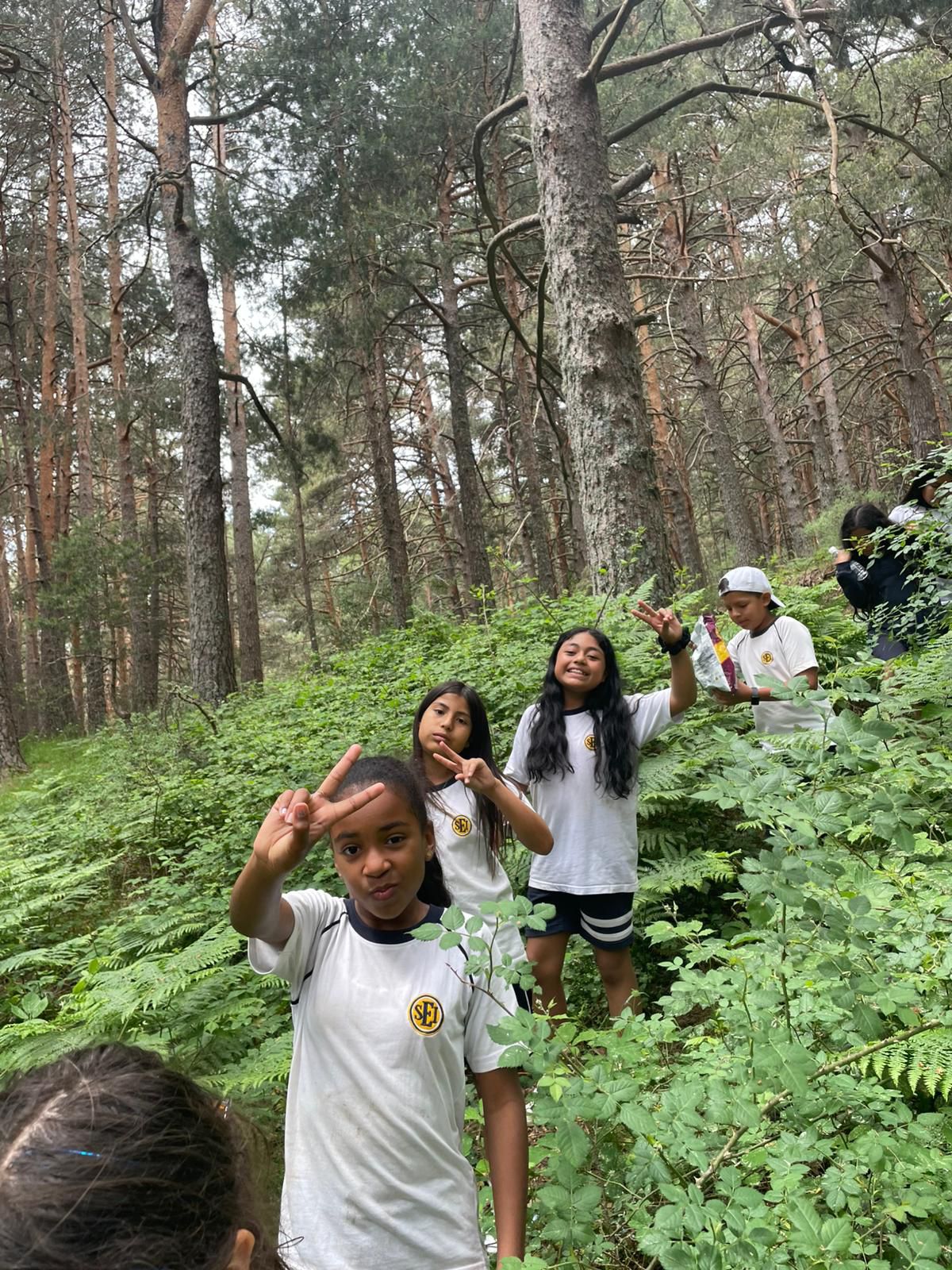 EXCURSIÓN FIN DE CURSO PRIMARIA (DEHESAS DE CERCEDILLA) 11-12 JUNIO