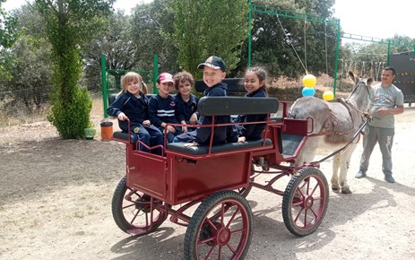 DIVERGREEN (INFANTIL)