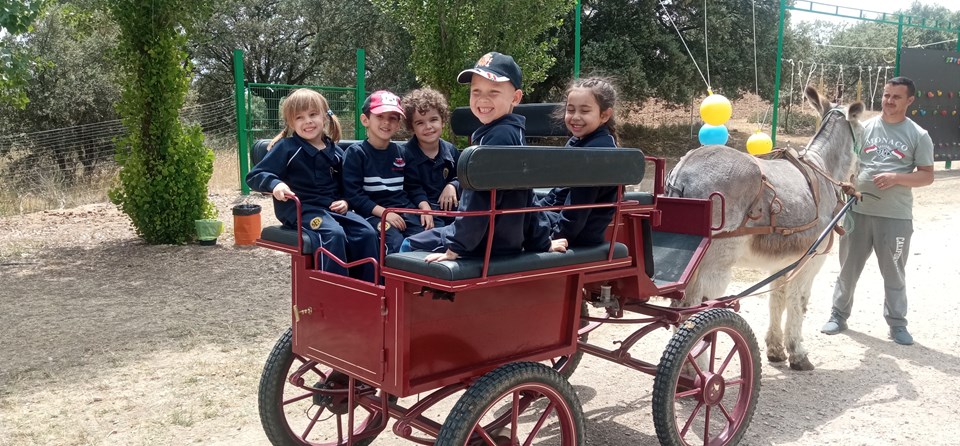 DIVERGREEN (INFANTIL)