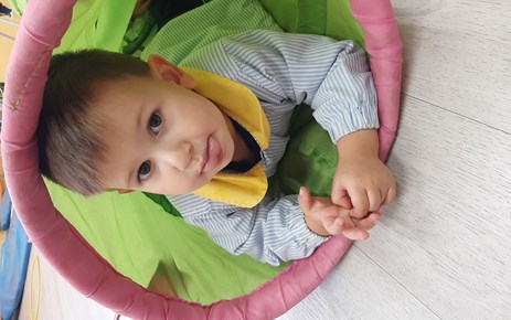 PRIMER CICLO INFANTIL (SEMANA DEL 7 AL 11 DE NOVIEMBRE)