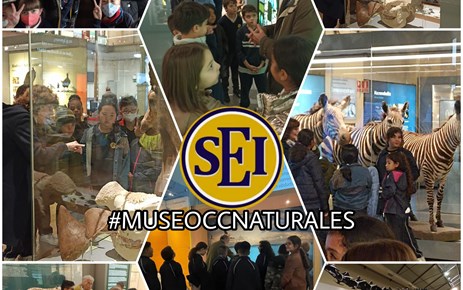 MUSEO CIENCIAS NATURALES (4º PRIMARIA)