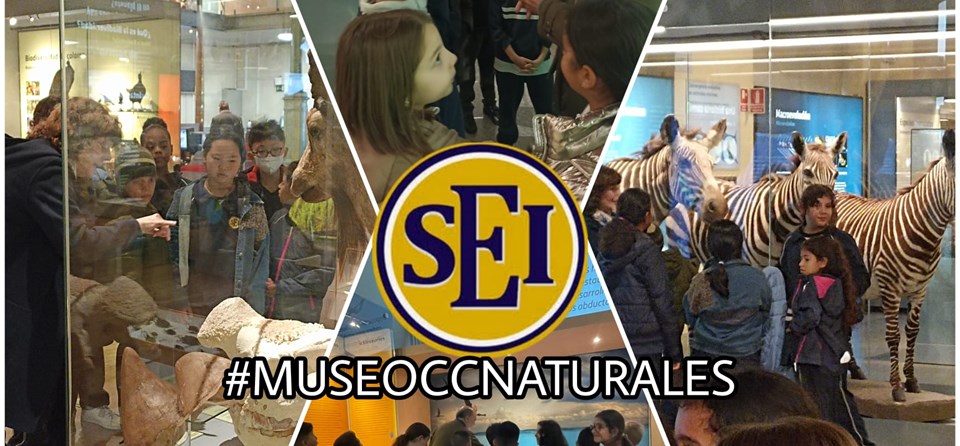 MUSEO CIENCIAS NATURALES (4º PRIMARIA)