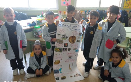 ANIMAL CHARACTERISTICS! (INF-5)