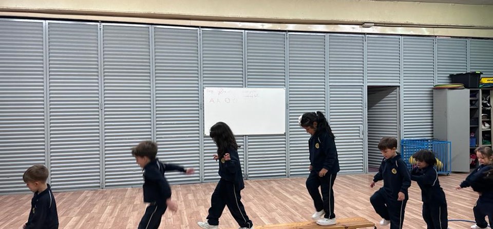 PSICOMOTRICIDAD (INFANTIL 5 AÑOS)