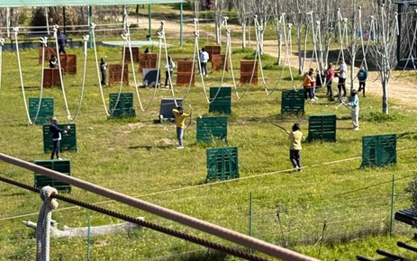 DIVERGREEN 1º-2º-3º PRIMARIA (31-1 ABRIL)