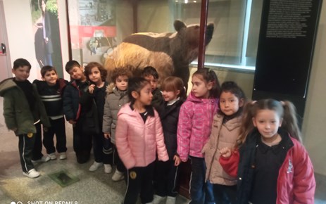 MUSEO DE CIENCIAS NATURALES (INFANTIL 5 AÑOS)